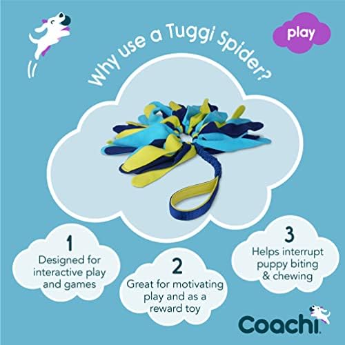 Aranha Coachi Tuggi, ótima para puxar e brincar, forte e confortável, alça de bungee, adequado para cães e filhotes, treinamento de recompensa, recall, interromper a mordida e mastigar, perfeita para agilidade