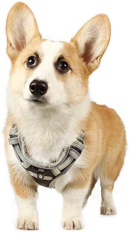 Tuff Hound Dog Arnness, arnês de animais de estimação sem puxador com 2 anéis de metal para cães pequenos de cães grandes